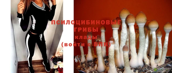 гашик Арсеньев