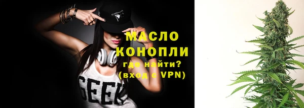 гашик Арсеньев