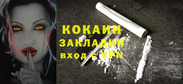 гашик Арсеньев