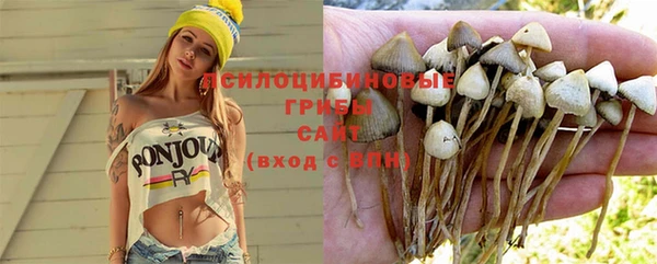 гашик Арсеньев