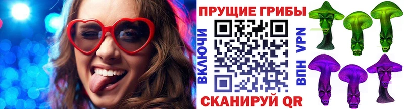 Галлюциногенные грибы Psilocybine cubensis  Межгорье 
